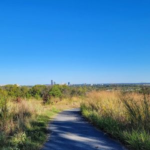 City skyline seen from an overgrown field with a concrete path