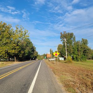 Small town street scene with houses and trees