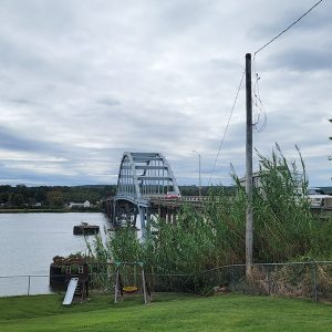 Metal bridge over a river with buildings and trees on the river banks