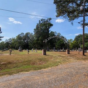 Cemetery with arched gate