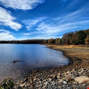 Shore of a lake lined with trees and a blue sky with cloud streaks