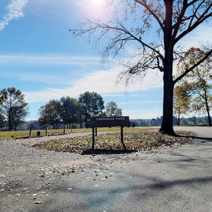 road into small park