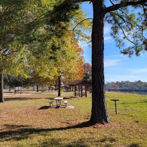 Small park with picnic tables and pavilions and playground equipment among trees