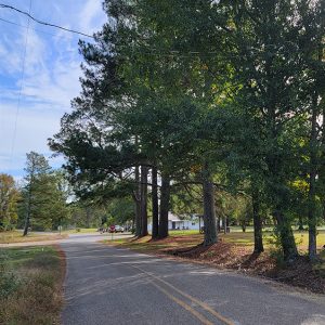 Country road entering small town