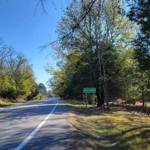 country highway with trees on both sides