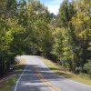 Country road winding through woods