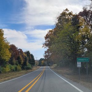 Road lined with trees on both sides