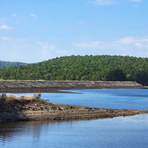 Dam on a lake with trees