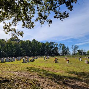 Cemetery with graves