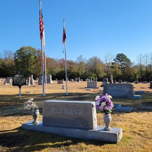 Cemetery with graves