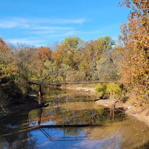 Dilapidated bridge crossing a creek with trees on both sides