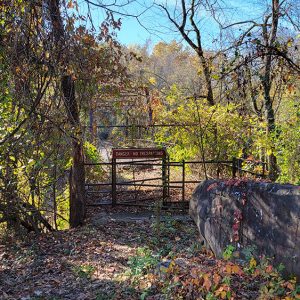 Dilapidated bridge crossing a creek and sign saying "Danger No Trespassing" amid trees