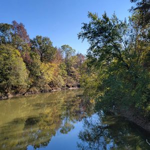 River seen from above with trees on both sides