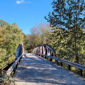 metal bridge with graffiti and trees on both sides