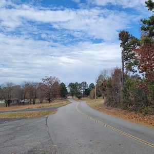 Country road rolling through trees and a few houses