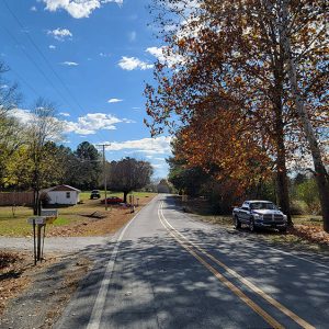 Rural street scene with houses