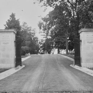 Road proceeding through an open iron gate into treed area