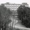 Hospital building behind some trees with a curving road