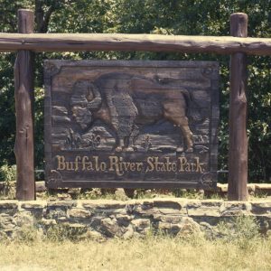 Wooden sign featuring a buffalo