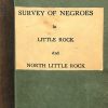 Green and tan book cover "Survey of Negroes in Little Rock and North Little Rock"