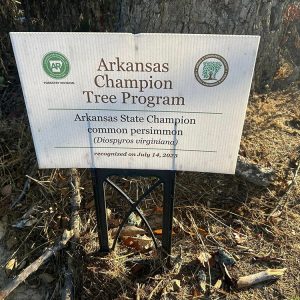 A plaque in front of a tree