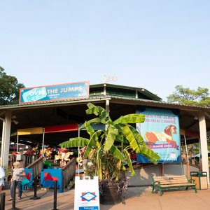 covered carousel with people in line and large plant in front