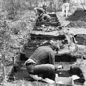 White people digging in ground marked off into sections with string