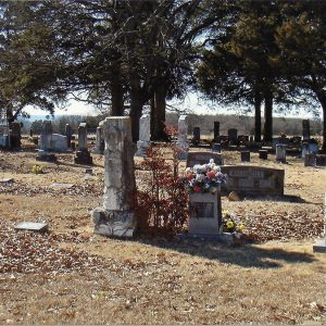 View of a cemetery