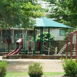 Various playground equipment including swing set slide and monkey bars between trees wooden fence and houses in background