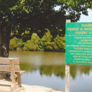 Wooden park bench facing waterfront by two trees and sign attached to two wooden posts text "Ward Parks & Recreation Busby Lake" above lake rules
